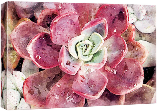 NWT Canvas Print Wall Art Red Petals Echeveria Melaco Botanical Succulent Nature Plants Photography Modern Art Southwest Closeup Colorful Multicolor for Living Room, Bedroom, Office - 32"x48"