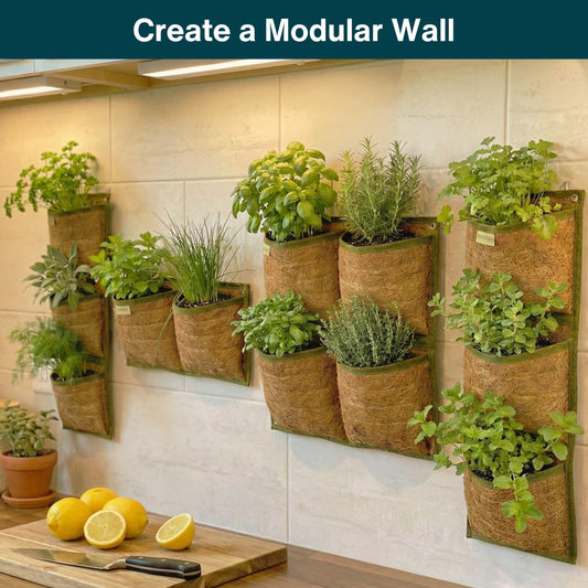 Austram Vertical Garden Planter, 3 Pocket, Living wall Planter, Hanging wall planters for Indoor Plants, Hanging planters for Outdoor Plants, for Herbs, Boho Kitchen Decor, Patio Decor, Indoor Garden