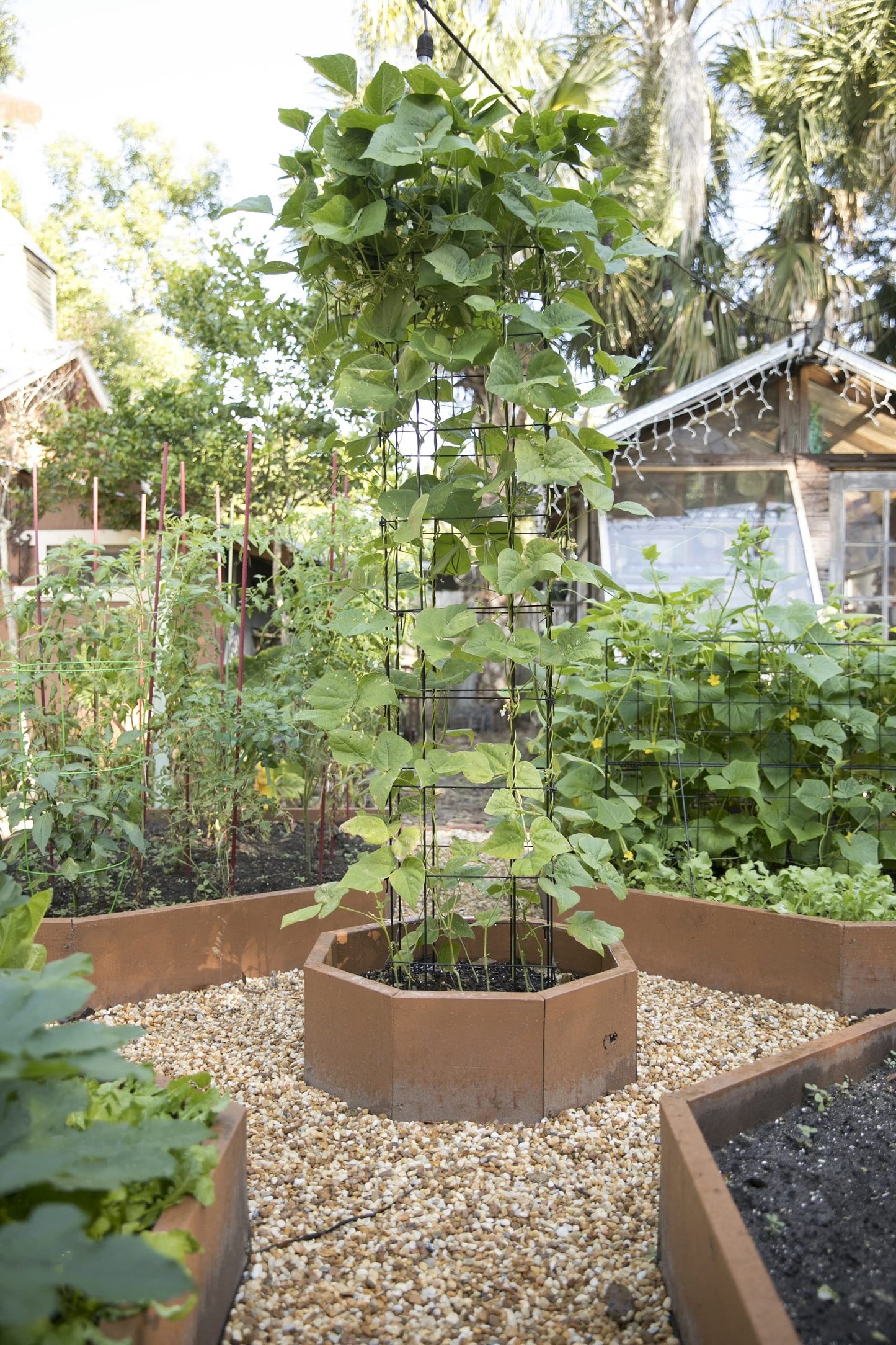 Gardeners Supply Company Large Bean Tower Plant Support | Sturdy Weatherproof Outdoor Beans, Peas & Other Climbing Vegetable Garden Plants Stake | Best for Small Space Garden - 75" H - Red