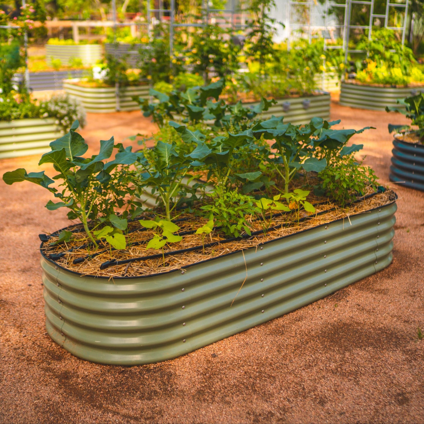 Vego garden Raised Garden Bed Kits, 17" Tall 6 in 1 Modular Metal Raised Planter Bed for Vegetables Flowers Patio Ground Planter Box-Olive Green
