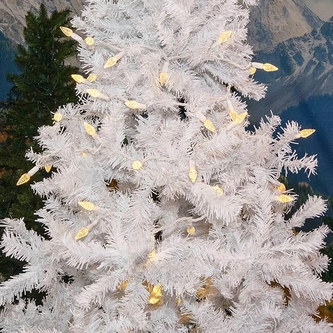 Novelty Lights 24FT 70 LED C6 LED Christmas String Lights, Outdoor Commercial Grade LED String Lights, Tree Decorations (Warm White)