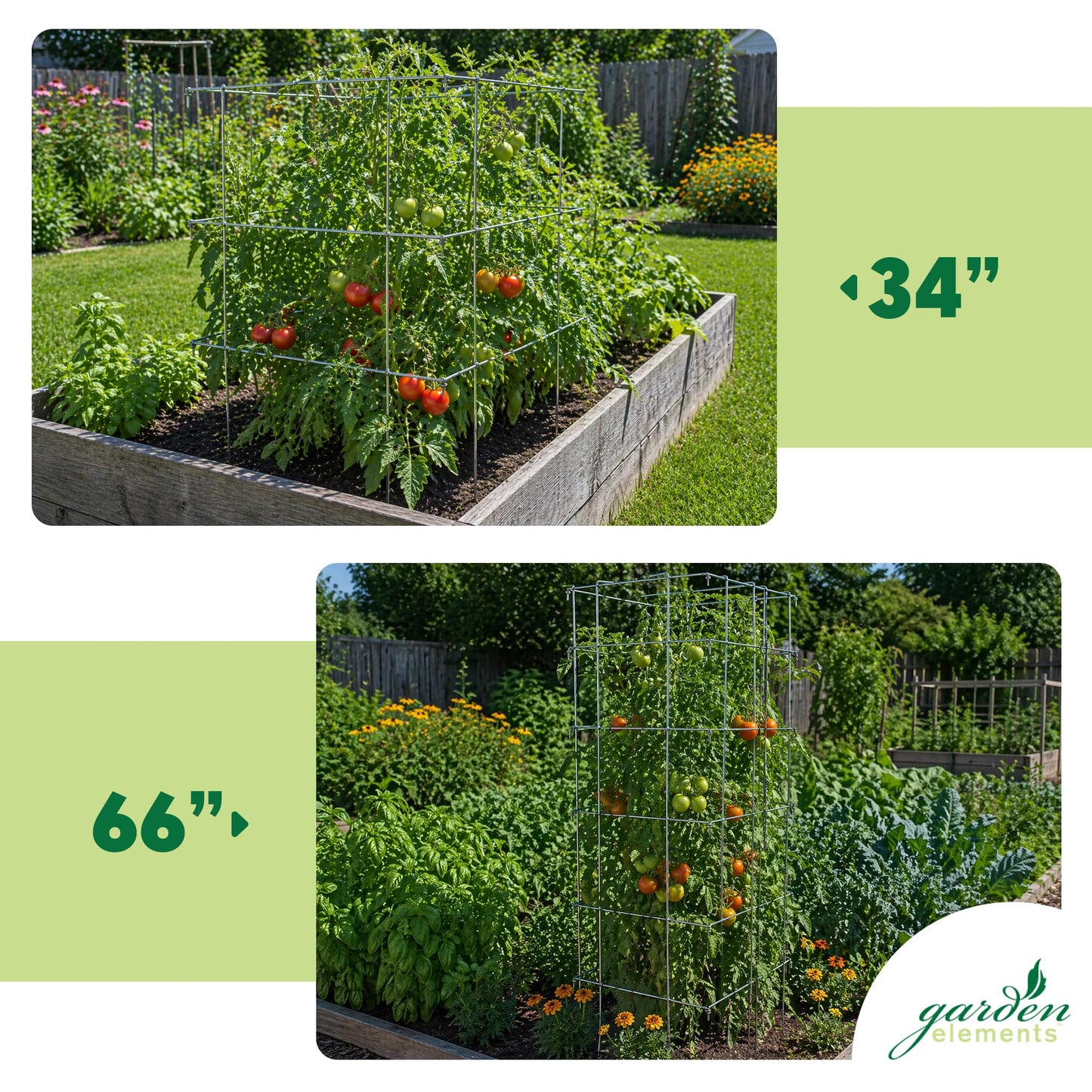 Garden Elements Square Tomato Cage, 67 Inch (Pack of 2) - Heavy Duty Galvanized Steel Plant Support with Adjustable Height and 8-Leg Stability for Climbing Vegetables & Vines