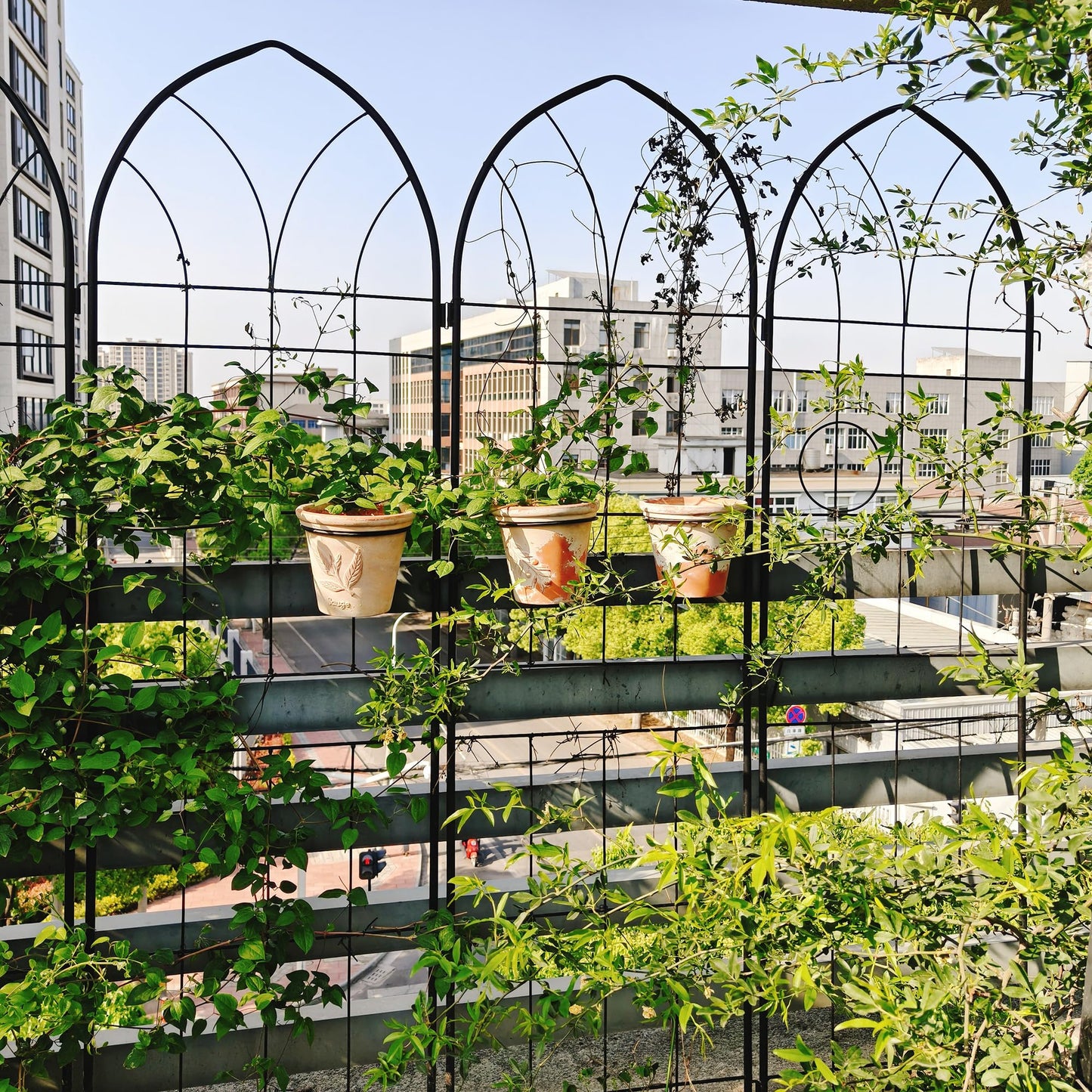 2 Pack Metal Garden Trellis 78.7" H,Rustproof Trellis for Climbing Plants,Outdoor Support for Roses Jasmine Vine,Garden Fence for Potted Plants &Flower Beds, Black