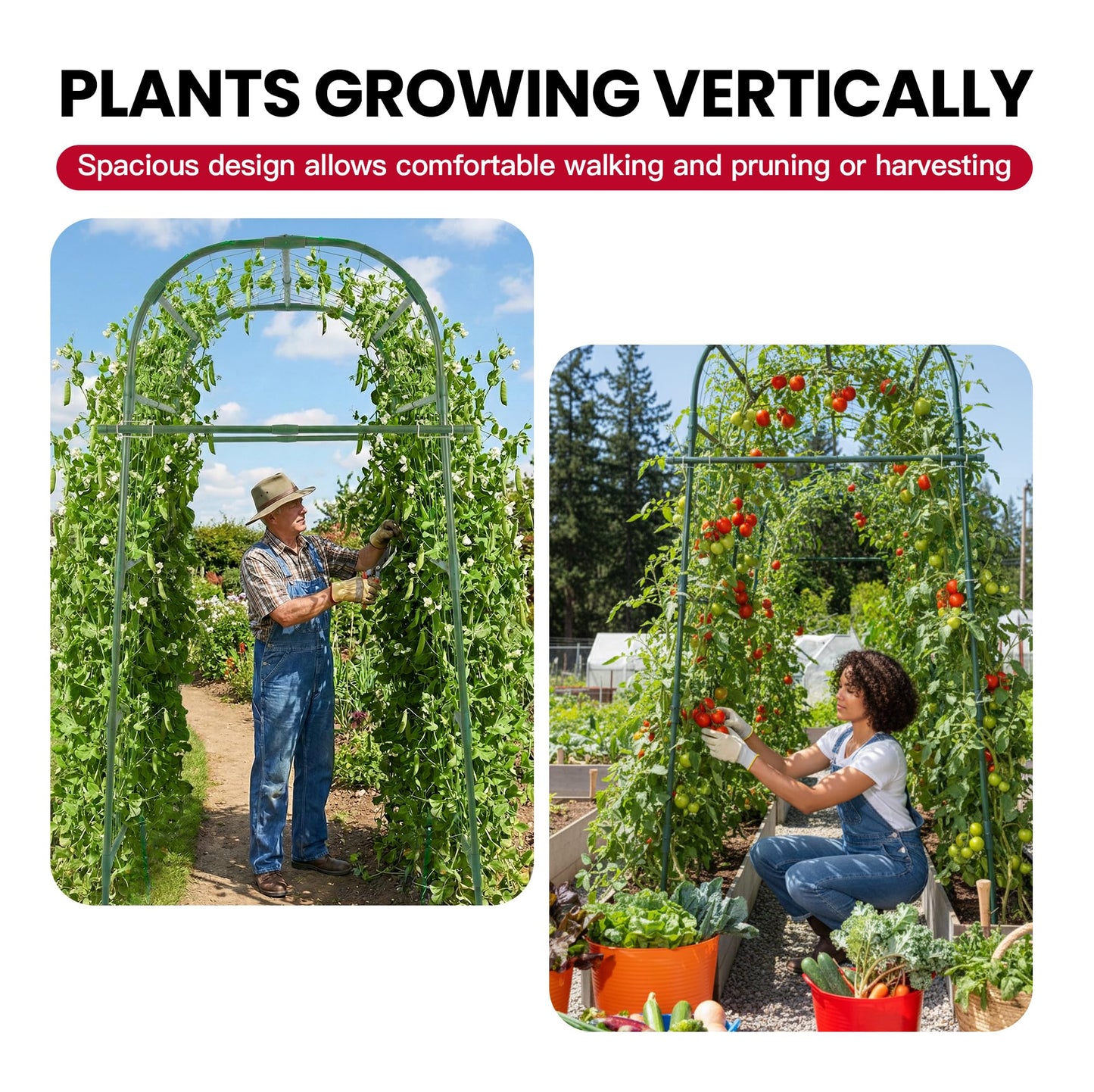 Garden Arch Trellis for Climbing Plants Outdoor, 7 Ft Tall Cucumber Trellis for Raised Bed, Metal Archway Arbor Trellis Support for Vegetables Beans Squash Peas Grape Vines Flowers
