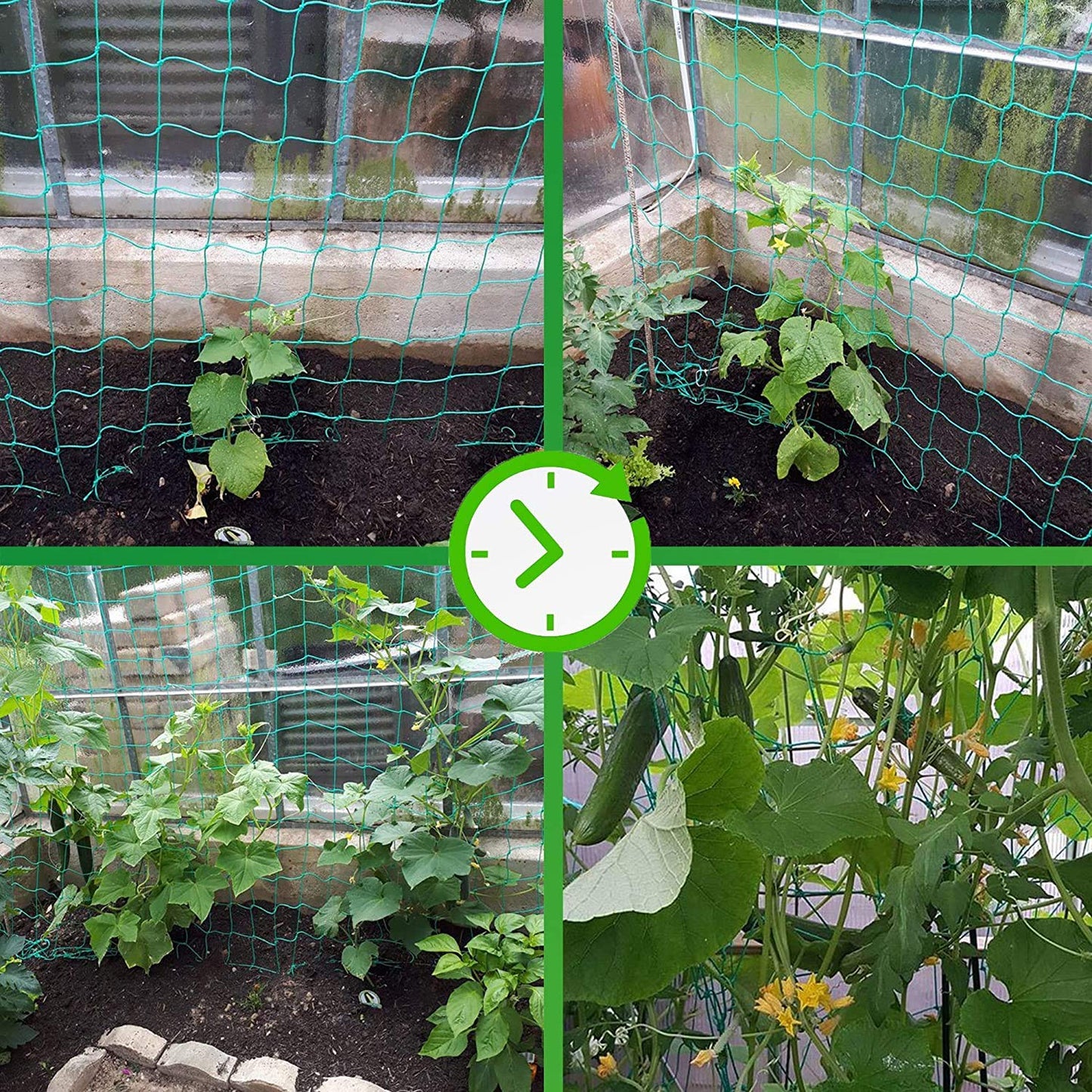 Trellis Netting for Climbing Plants - Heavy Duty Garden Trellis Netting for Cucumber, Vine, Fruits & Vegetables Tomato Plants Trellis Net, Climbing Vining Plants (1-Pack 16.4' x 6.6'Ft)