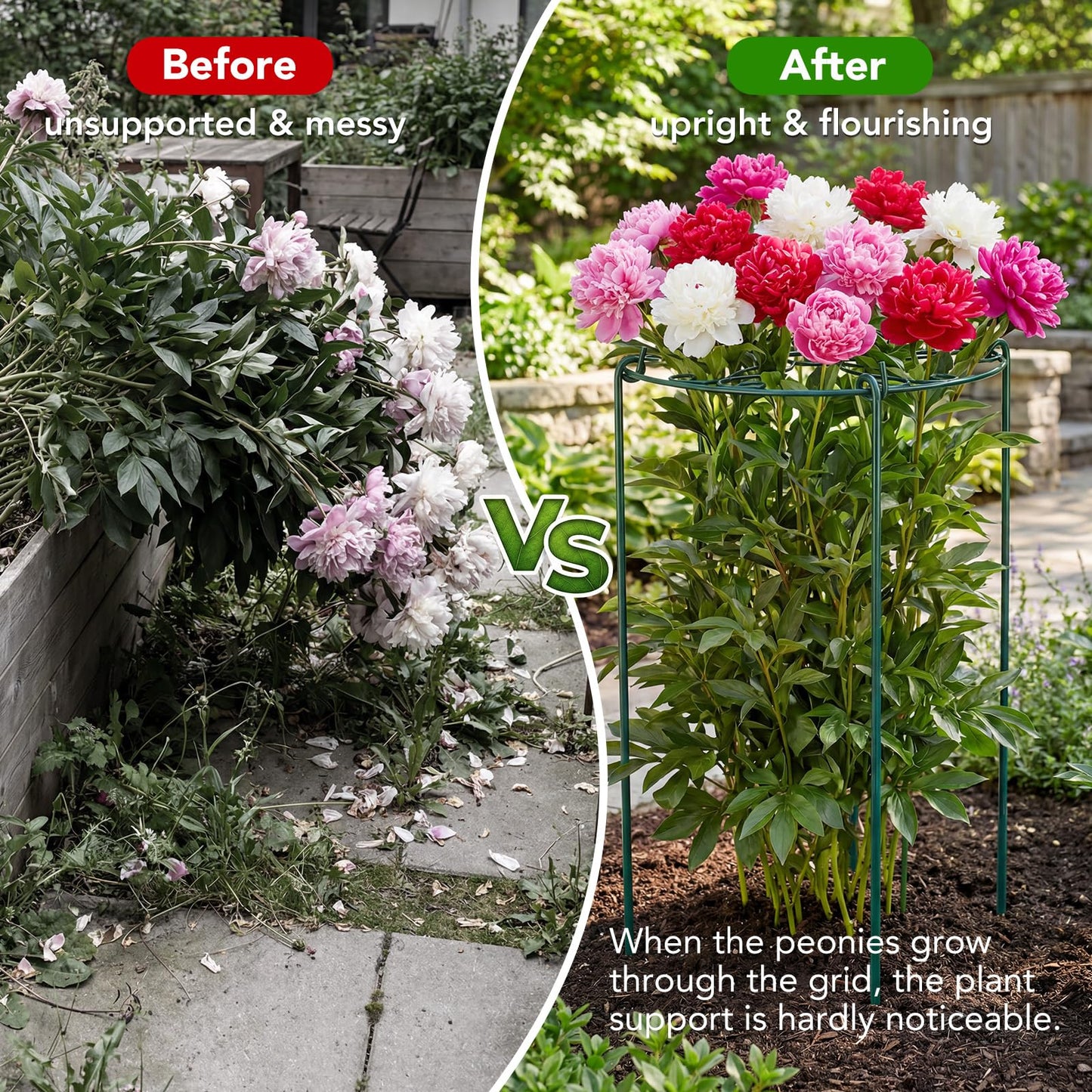 6 Pack 16 x 30 Inch Peony Cages and Supports, 16" D x 30" H Grow Through Plant Support Grid Brace for Outdoor Plants Flower, Metal Peony Stake Peony Ring Hoops Frame Support for Rose Tomato Vegetables