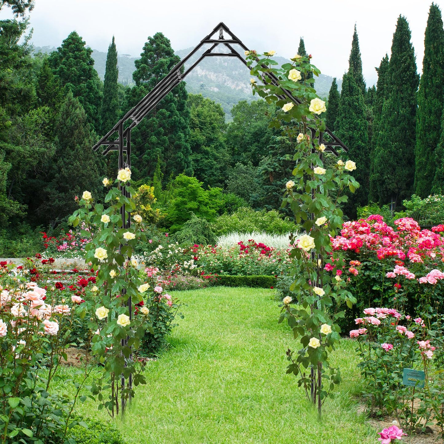 Trellume Garden Arch Trellis - 48" L *98" H*16" W, Gothic Abor Trellis with Reinforced Frame, Garden Arch Trellis for Climbing Plants Outdoor, Heavy Duty Metal Arch for Backyard, Patio, Lawn, Balcony