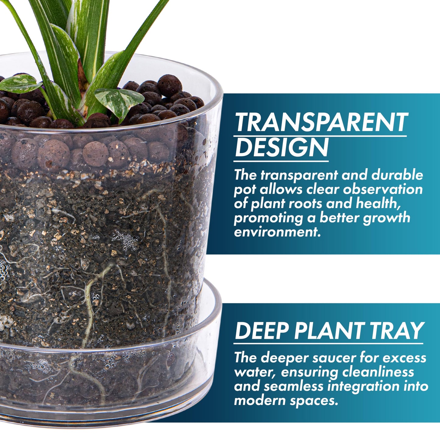 Phoenix Vine 6.5 Inch Clear Acrylic Planter Pot with Tray, Orchid Pot with Drainage Holes, Deep Saucer for Bottom Watering, Transparent Containers for Indoor Plants, Herbs, Set of 3, 91-A-F-3