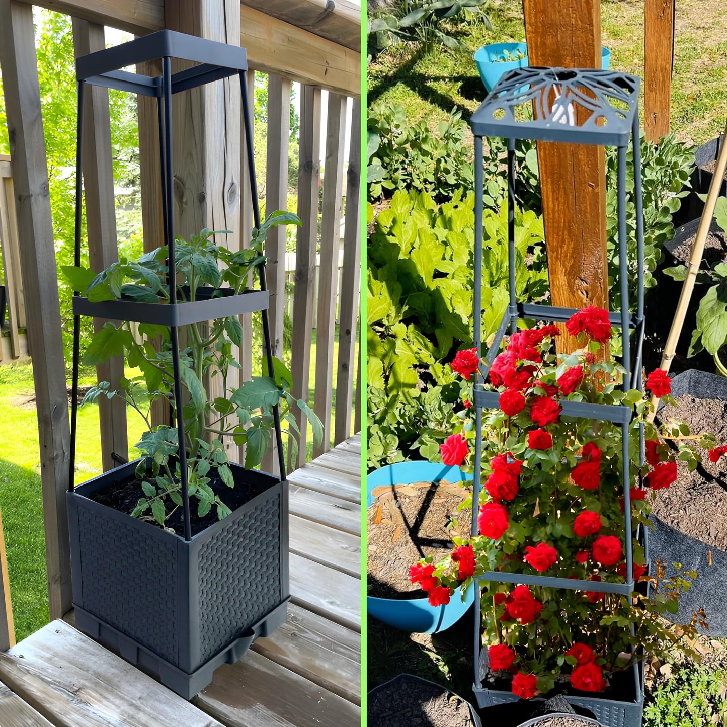 Biotolot 2 Packs Raised Garden Bed Tomato Planter Box with Trellis,56.8" Self-Watering Tomato Cage with Trapezoidal Trellis for Climbing Plants Flowers Vegetables Vine in Patio Garden Indoor Outdoor