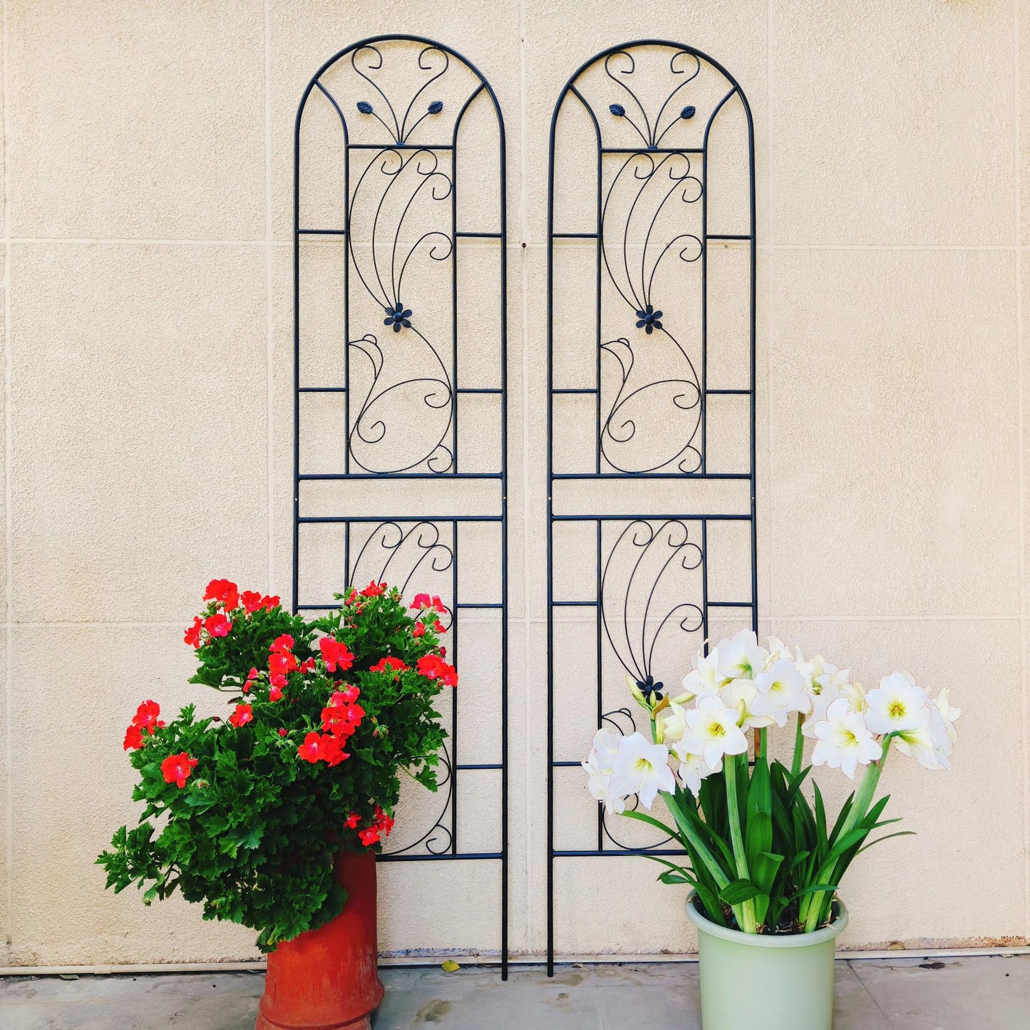 4 Pack Metal Garden Trellis 86.7"x19.7" – Rustproof Trellis for Climbing Plants Outdoor, Peacock Style Flower Support for Roses Ivy Vines, Black
