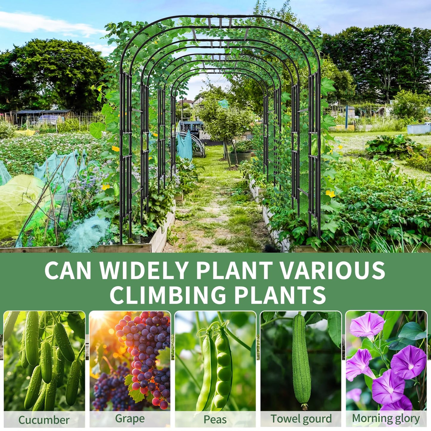 SUNYRISY Garden Arch Trellis for Climbing Plants Outdoor, 47.2" x 59" x 87" Metal Core Tall Archway Tunnel Plant Support for Cucumber Tomato Flowers Vegetables and Gardening