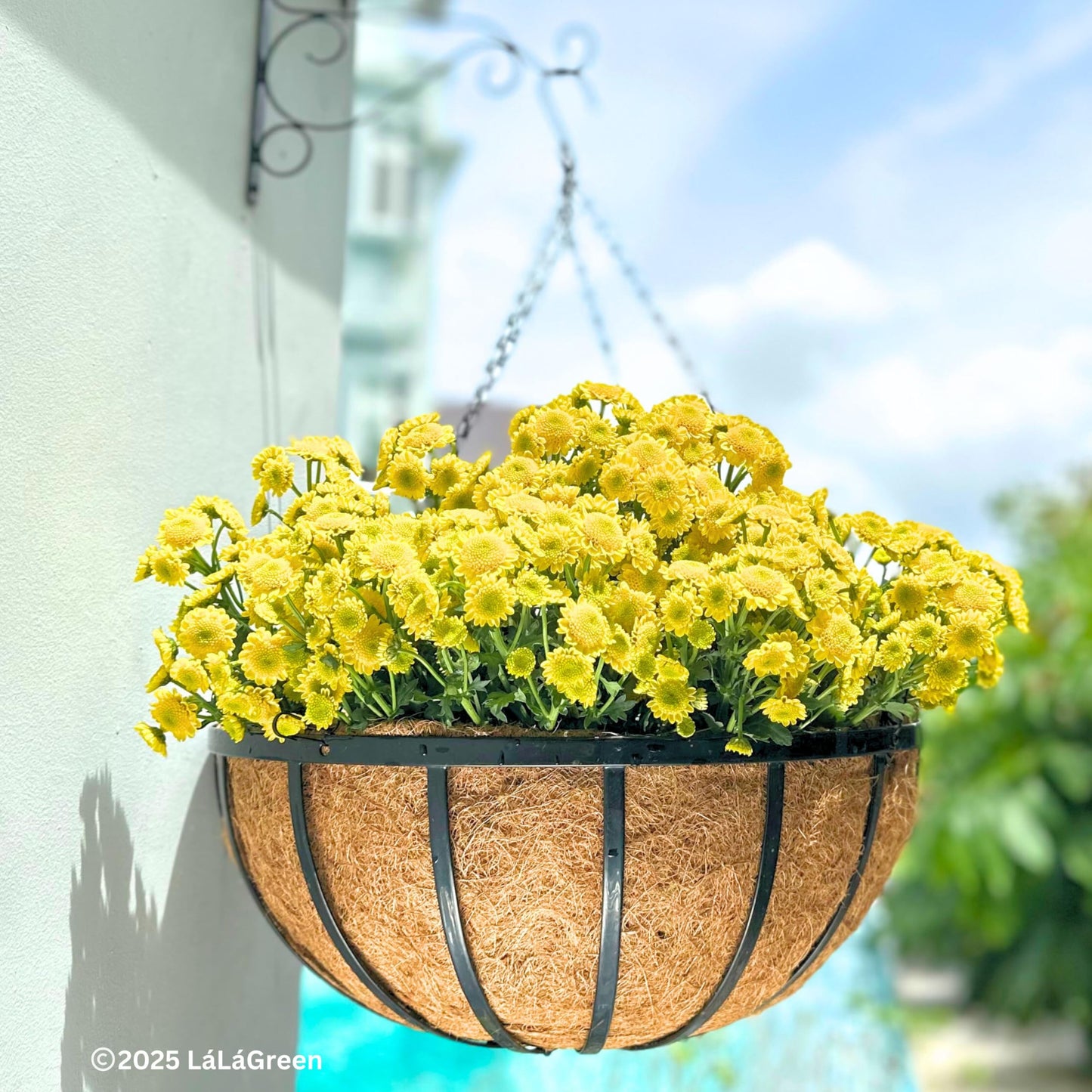LaLaGreen Outdoor Hanging Baskets for Plants (20 Inch, 2 Pack) Extra Large Black Metal Flat Iron Hanging Planters with Coco Liner Round Flower Pot Holder Hanger Deck Porch Modern Garden Balcony Decor