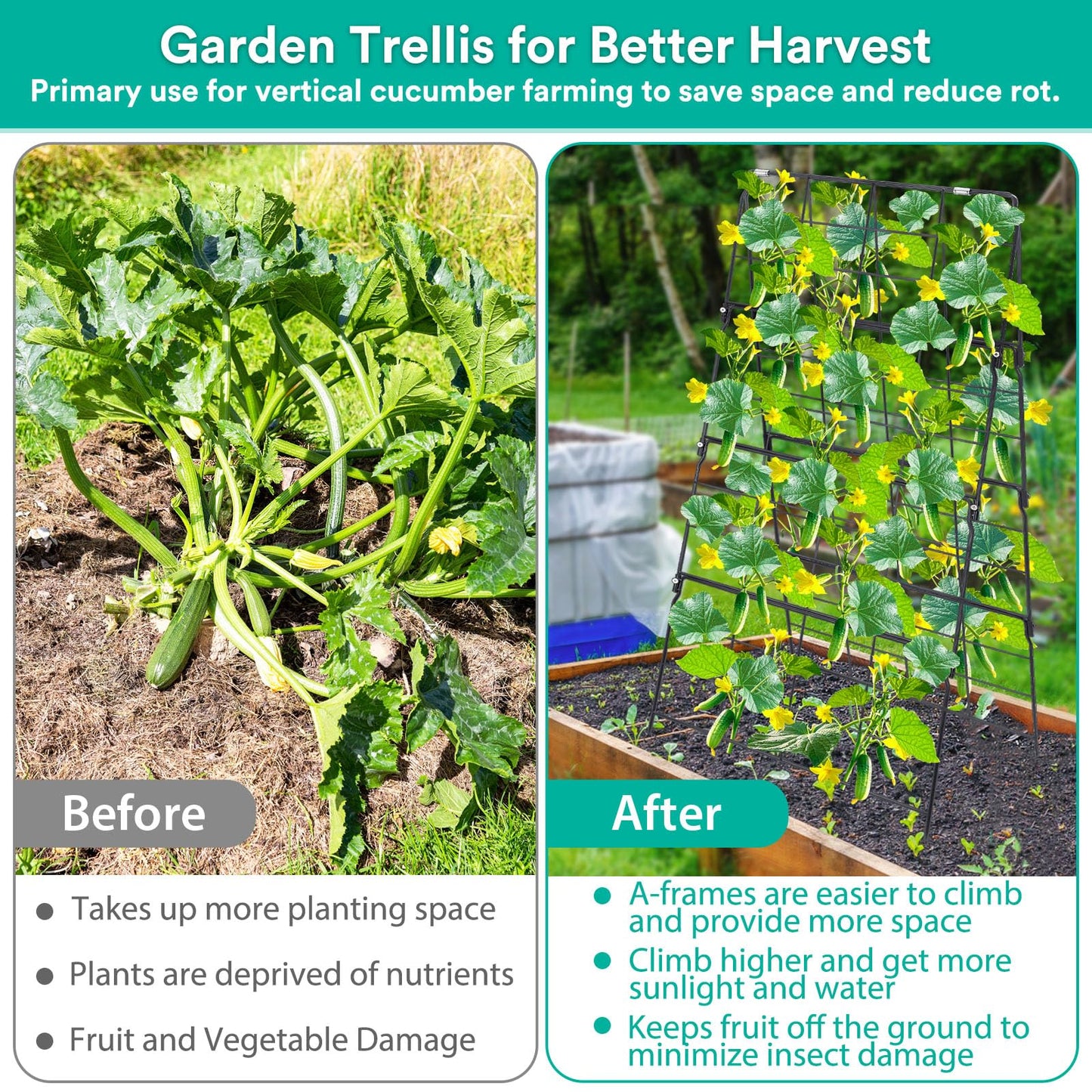 2Packs 17 x 42 Inch Garden Trellis for Raised Beds Foldable Climbing Plant Support Cucumber Trellis Outdoor A-Frame Metal Vegetable Bean Trellis with Garden Supplies for Grape Tomato Peas Flower
