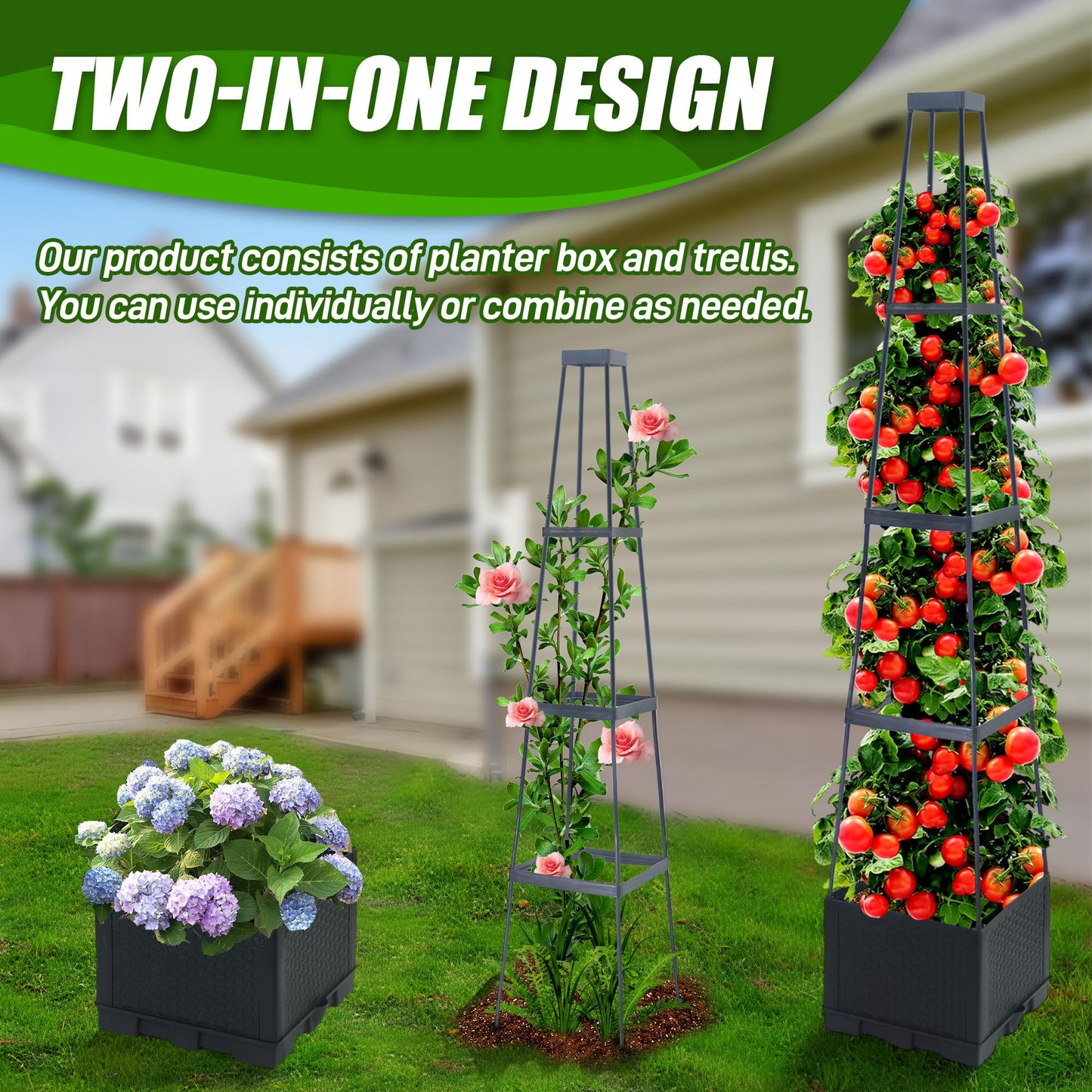 Biotolot 2 Packs Raised Garden Bed Tomato Planter Box with Trellis,56.8" Self-Watering Tomato Cage with Trapezoidal Trellis for Climbing Plants Flowers Vegetables Vine in Patio Garden Indoor Outdoor