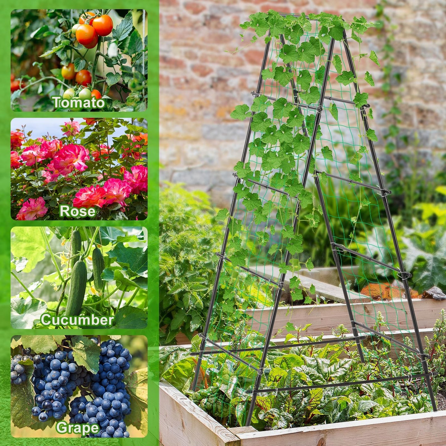 Yotoworth Garden Trellis for Climbing Plants, 71" H x 32" W Metal A-Frame Cucumber Trellis Outdoor Fruits Watermelon Plants Vegetable Tomato Squash Peas Beans, with Netting, Black