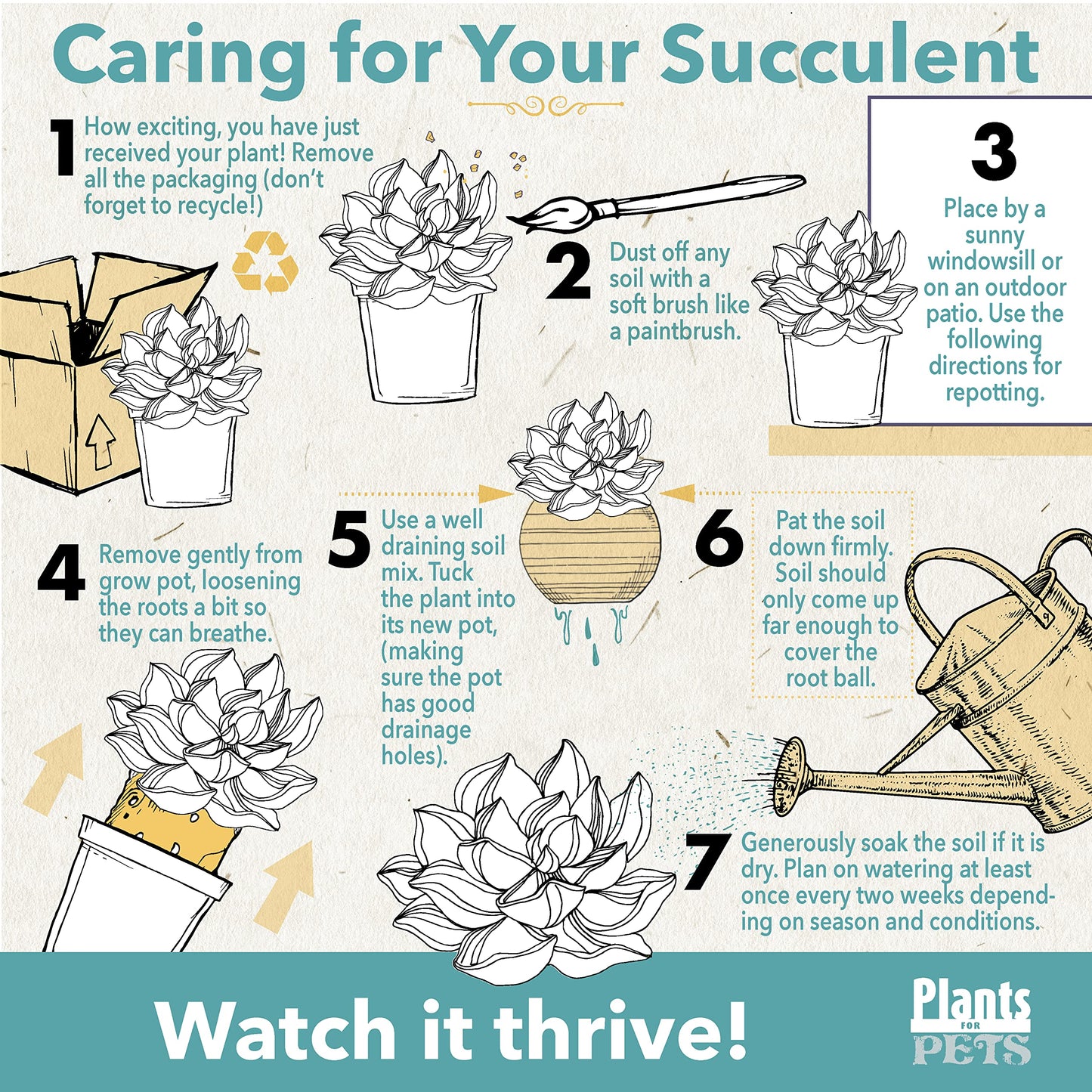 Succulents Plants Live in Garden Succulent Planters, Live Succulent Plants Live Plants in Taupe Planter Pot, Live Succulents Unique Gardening Gifts for Plant Lovers, Succulent Gifts by Plants for Pets